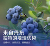 酷奇象 遼寧丹東花香藍(lán)莓王【多地次日達(dá)】新鮮孕婦L25藍(lán)莓禮盒怡顆藍(lán)莓 凈重100g-125g*4盒【蕞劃算】 品質(zhì)藍(lán)莓【單果15-18mm+】 曬單實(shí)拍圖