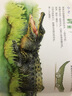 園園悅讀 狐貍孵蛋閱讀指導(dǎo)版 九色鹿 啊呀動物園陸地篇 閱讀指導(dǎo)版 明天出版社 狐貍孵蛋閱讀指導(dǎo)版 九色鹿 啊呀動物園陸地篇 狐貍孵蛋閱讀指導(dǎo)版 九色鹿閱讀指導(dǎo)版 啊呀動物園陸地篇閱讀指導(dǎo)版 中班全套 曬單實拍圖