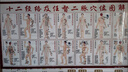 經(jīng)絡圖解十二經(jīng)脈圖 十二經(jīng)絡及任督二脈穴位圖人體穴位圖經(jīng)絡掛 真人款 80x40cm背膠揭開即貼 曬單實拍圖