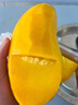 廣西金煌芒新鮮芒果10斤當(dāng)季熱帶水果大青芒超大特大水仙芒果包郵 3斤 【中果】單果200g+丨不甜包賠 曬單實拍圖