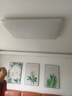 雷士（NVC）國家補(bǔ)貼普瑞全光譜護(hù)眼吸頂燈客廳臥室燈簡約智能白雪 包安裝 曬單實(shí)拍圖