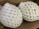 玉菇甜瓜冰淇淋現(xiàn)摘正宗新鮮水果整箱當季水果香瓜冰淇淋 【超值裝】 5斤(凈重4.7斤) 曬單實拍圖
