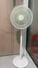 鉆石牌電風(fēng)扇家用【1級能效+直流變頻+純銅電機】臺地兩用搖頭扇大風(fēng)量輕音臥室客廳空調(diào)伴侶DFS-ZBM08 曬單實拍圖