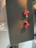 水月雨 Aria2 詠嘆調2 真紅 有線耳機動圈HIFI發(fā)燒入耳式耳塞3.5/4.4可換插頭0.78插針全場景耳返 Aria2真紅【下單備注贈品】 曬單實拍圖