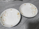 黃金葉6.5英寸圓盤家用高顏值陶瓷釉下彩餐具菜盤深水果盤 6.5英寸16.9CM【2只裝】 曬單實拍圖
