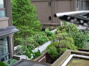 松下（Panasonic）Lumix G100D M43畫幅相機(jī) M43卡口 微單相機(jī) 無(wú)反數(shù)碼相機(jī) G100D單機(jī)+【25mmF1.7】單鏡頭定焦 曬單實(shí)拍圖