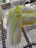 山東娃娃菜新鮮小白菜當季黃牙白蔬菜火鍋涮菜源頭直發(fā)包郵 4包12顆裝 曬單實(shí)拍圖