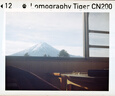 LOMOGRAPHYTiger CN ISO 200 110 彩色負片膠卷（一卷或三卷） 彩色 三卷 曬單實(shí)拍圖