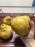 澤鮮達(dá)中華丑梨山東煙臺(tái)梨子啤梨新鮮水果當(dāng)季新鮮孕婦水果梨香梨軟糯香 1斤裝 曬單實(shí)拍圖