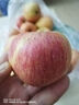 沂蒙山旮旯沂源紅蘋(píng)果富士蘋(píng)果綠色食品認證脆甜多汁山泉灌溉辦公家居零食 沂源紅蘋(píng)果70#-75# 4.5-5斤(凈重4.5斤) 曬單實(shí)拍圖