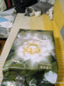 babycare金山茶花紙尿褲NB68片(<5kg)新生兒嬰兒尿不濕超薄透氣輕柔花苞褲 曬單實拍圖