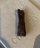青藏花婆婆藏牦牛腱子高原牛羊肉青海特產(chǎn)鹵牛腱 2kg(4斤) 曬單實(shí)拍圖