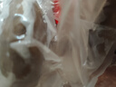 三只海豚 即食海參 大連鮮食刺參單個裝 高品質(zhì)遼刺參13-17只固形物≥60% 曬單實拍圖