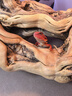 REPTIZOO果泥守宮睫角昆蟲飼料豹紋蟲泥鬃獅蜥爬寵食物 守宮蠶膏【80g*1】 曬單實拍圖