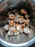 鯨口大開【精選】新鮮青島大扇貝肉鮮活非即食超大夏夷貝帶黃無沙鮮活冷凍 新鮮現(xiàn)剝扇貝肉3斤(凈重) 曬單實(shí)拍圖