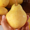 京氿生山東煙臺中華丑梨軟糯多汁啤梨太婆梨蜜梨當季新鮮水果源頭直發(fā) 經(jīng)濟【中果】4.5斤約8-12個(gè) 曬單實(shí)拍圖