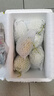 農(nóng)大姐妹【順豐】蘋果苦瓜生吃 白玉苦瓜 新鮮蔬菜現(xiàn)摘涼瓜 壽光基地直發(fā) 3斤 曬單實(shí)拍圖