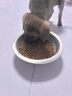 百麗（Belle）七夕禮物柔軟平底便鞋女25春新商場(chǎng)款真皮通勤單鞋D8B1DAQ5 米白 38 (240mm) 曬單實(shí)拍圖