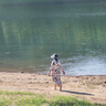 啄木鳥連衣裙女2025年夏季新款韓版V領(lǐng)印花高級感收腰氣質(zhì)顯瘦中長裙子 米色黑花 有口袋和腰帶 XL 135-150斤 曬單實拍圖