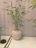 BOOX文石T10C 10.3英寸輕薄彩色墨水屏平板電子書(shū)閱讀器 大屏電紙書(shū)電子紙電子書(shū) 平板電腦辦公本 曬單實(shí)拍圖