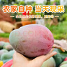 三亞芒果  海南芒果新鮮水果生鮮整箱當(dāng)季大青皮芒 熱帶孕婦芒果 10斤裝(凈果8.5-9斤)單果300g+ 曬單實拍圖