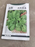 北蔬 大葉茼蒿種子虎耳茼蒿皇帝菜蔬菜種籽 大葉茼蒿種子15g約6700粒 曬單實(shí)拍圖
