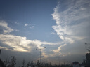 普雷芳孕婦連衣裙夏裝2025潮媽孕婦裝夏季翻領(lǐng)T恤時(shí)尚洋氣寬松大碼裙子 杏色 L(建議105-125斤) 曬單實(shí)拍圖