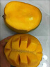 百橙戀四川攀枝花凱特芒果 新鮮大果當(dāng)季時(shí)令生鮮芒果中秋送禮整箱水果 5斤大果【無(wú)禮盒】 曬單實(shí)拍圖