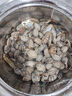 聚創(chuàng)麒海水晶海水缸海鮮市場水產(chǎn)養(yǎng)殖人工配制海水鹽海魚珊瑚水母專用鹽 高端速溶海水晶【2斤】 曬單實拍圖
