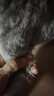 鑫安鑫安艾康平貓狗乳腺瘤菜花瘤乳腺增生肛周瘤癌腫平化瘤寵物腫瘤藥 艾康平（單買） 曬單實拍圖