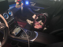 Sisley希思黎黑玫瑰煥采精華霜50ml面霜保濕護膚品節日禮物送女友 曬單實(shí)拍圖