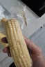 爆汁免煮水果甜玉米開袋即食學生真空包裝新鮮玉米低脂代餐速食 開袋即食玉米 220克8支 曬單實拍圖