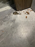 圣古仿瓷磚地板貼自粘客廳防水防滑加厚仿大理石PVC地板革臥室直接鋪 摩登灰 3平方【80*80】共5片 曬單實拍圖