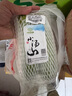 小湯山 北京 西葫蘆 300g 基地直供新鮮蔬菜 曬單實(shí)拍圖