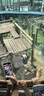 雷柏（Rapoo） V500PRO 有線背光機(jī)械鍵盤(pán) 104鍵全尺寸游戲電競(jìng)筆記本電腦多媒體辦公吃雞全鍵無(wú)沖鍵盤(pán) 茶軸 曬單實(shí)拍圖