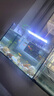 透明熱彎長(cháng)方形玻璃金魚(yú)缸水族箱烏龜缸小中型辦公桌造景生態(tài)魚(yú)缸 套餐一（只有缸不含其他）  長(cháng)20*寬13*高15厘米 曬單實(shí)拍圖