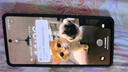 vivo iQOO12/iQOO12Pro 二手5G手機 第三代驍龍8 自研電競芯片Q1拍照游戲手機 【iQOO12】賽道版 16GB+512GB 99新 曬單實拍圖