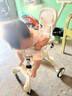 semmook遛娃神器可折疊嬰兒推車雙向手推車嬰兒車0-3歲溜娃神器一鍵收車 升級(jí)款加大輪【帶加大遮陽棚】 曬單實(shí)拍圖