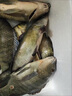 【野釣魚竿】野釣手竿專業(yè)特價漁具溪流竿超輕超硬鯽魚竿釣魚竿 2.4m 單桿 曬單實拍圖