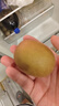 佳沛（zespri）新西蘭  陽(yáng)光金奇異果10粒禮盒巨大果單果約144-175g 水果 獼猴桃 曬單實(shí)拍圖