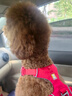 拉夫威爾ruffwear福朗特胸背狗狗胸背帶大小型犬拉布拉多背心式牽引背帶 峽谷紅 L/XL 曬單實(shí)拍圖