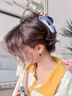 柏詩琳沙丁魚發(fā)夾抓夾女可愛少女心創(chuàng)意上瑜伽小紅書同款ins禮物送朋友 小號（無盒） 曬單實拍圖