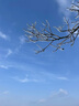 老管家管道疏通啫喱強力衛(wèi)生間馬桶廚房下水道疏通劑除臭溶解清潔劑1kg 曬單實拍圖