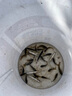 特價納米高靈敏黑坑輕口棗核混養(yǎng)浮漂鯽魚鯉魚醒目加粗尾魚漂套裝 納米魚漂3個 曬單實拍圖