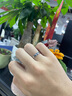 MZMZ鉑金情侶戒指PT950白金結(jié)婚求婚對戒素圈七夕情人節(jié)禮物送女友 輕奢款平面【刻字閉口定制】拍此 曬單實拍圖