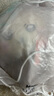 名創(chuàng)優(yōu)品（MINISO）chiikawa睡衣毛絨公仔毛絨玩具玩偶擺件生日禮物女 Rakko海獺 曬單實(shí)拍圖