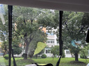 景西里五菱宏光S雨刮器原廠原裝雨刷器無(wú)骨靜音13-24款宏光s前后雨刮片 五菱宏光S【13-24款】前雨刮一對(duì) 曬單實(shí)拍圖