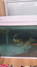 森森（SUNSUN）超白魚(yú)缸一體缸自循環(huán)客廳桌面小型家用水族箱HEJ-380 曬單實(shí)拍圖