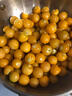式果禮東北姑娘果【順豐速發(fā)】菇?jīng)龉S菇娘燈籠果姑鳥小金豆新鮮水果 9斤 精選果【單果7-9g】 曬單實(shí)拍圖