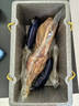 口緣揚州鹽水鵝 肉禽菜肴 揚州特產(chǎn) 凈重≥1.75kg 源頭直發(fā)包郵 曬單實拍圖